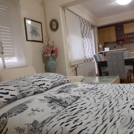 Spacious 80M2 Apartment In The Center Ljubuški Exteriör bild